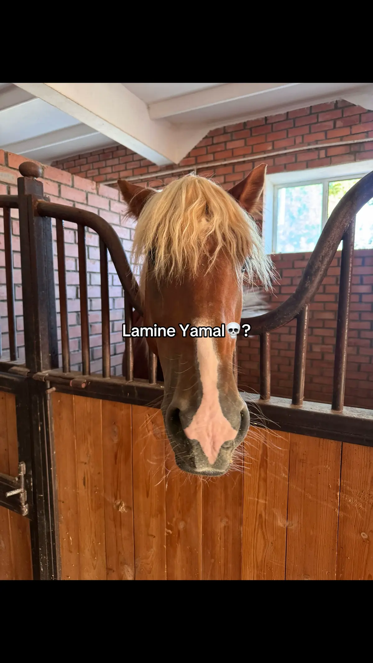 #lamineyamal #alluree23 