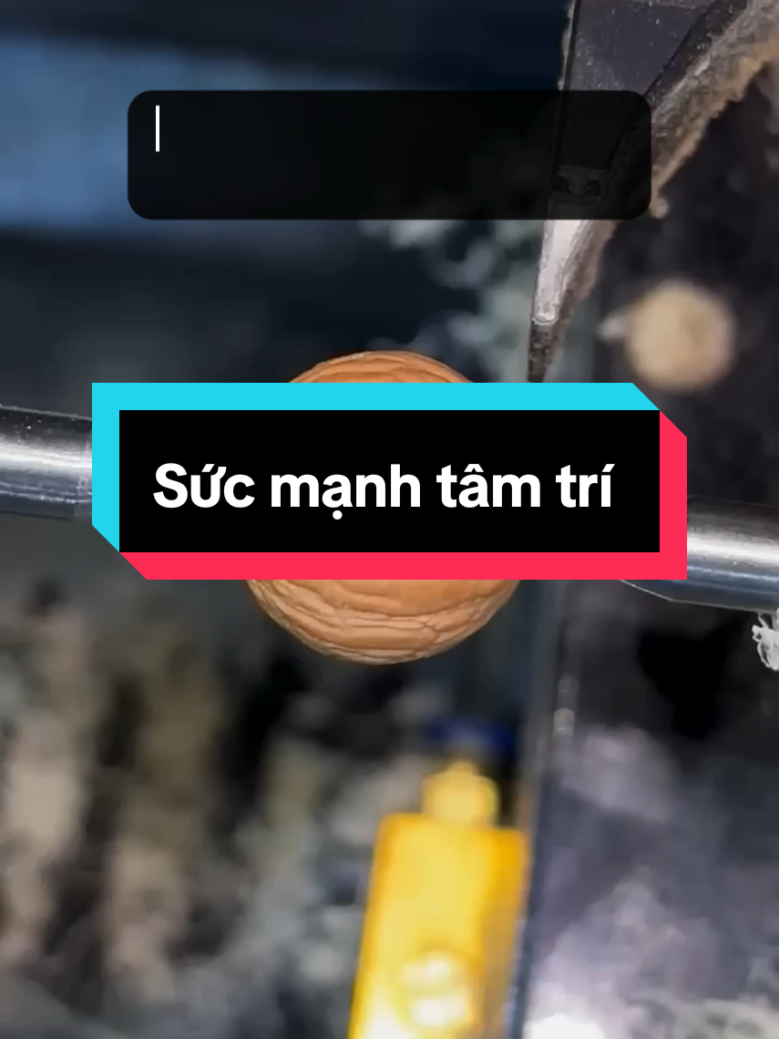 Bạn có thể chữa lành mọi vấn đề về sức khỏe, thông qua suy nghĩ #sucmanhtamtri #saigonbooks #baihoccuocsong #sachhay 