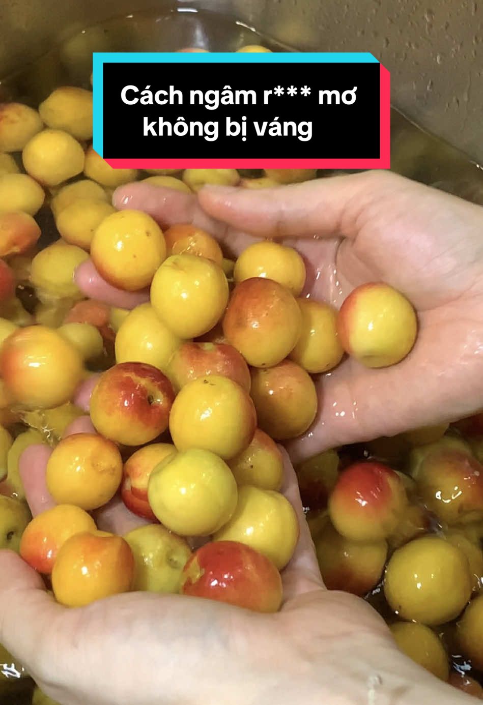 R*** mơ ngâm kiểu này thơm lừng mà không bị nổi váng. 😉 #lyanhealthy #nuocmo #ancungtiktok #xuhuongtiktokkk 