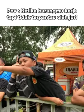 tidak cuma burung joki pun ikut gacor ketika burung sudah di atas gantangan 🤣🤣 #lombaburung #lombaburungberkicau #lombamuraibatu #lombaburungmurai 