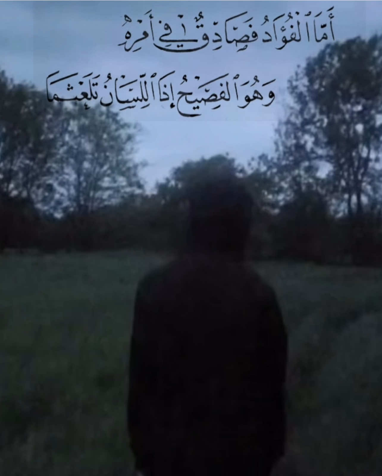 #فصحى #قصائد #شعر #بدون_موسيقى #اكسبلور #explore #foryou #fyp #vairal #edit 