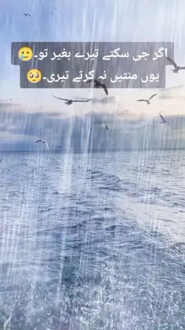 #fyp 