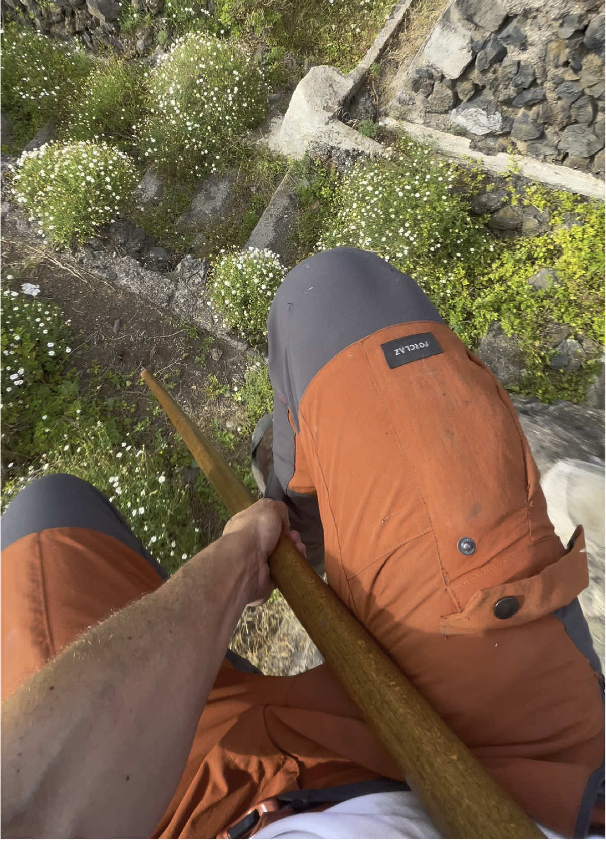 El último brinco de la semana 🐐#saltodelpastorcanario 