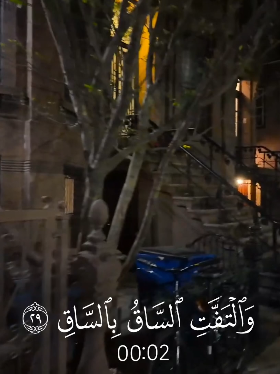 القيامة - #عبدالعزيز_الفقيه #قران_كريم #قران #راحه_نفسيه #quran_alkarim #quran 