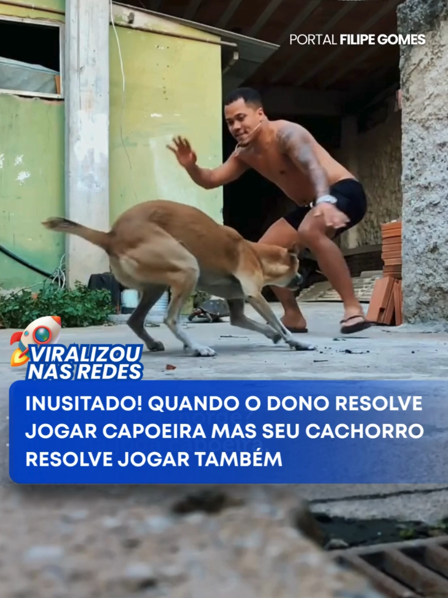 🚀 VIRALIZOU NAS REDES - Esse vídeo é simplesmente surreal! O cara começa todo animado na ginga da capoeira, mostrando habilidade e concentração... até que o cachorro dele decide entrar na brincadeira. E não é que o dog manda bem demais? Ao invés de latir ou correr, ele joga capoeira como se tivesse treinando há anos! Essa cena é a definição perfeita de: meu cachorro me representa. Será que temos um novo mestre capoeirista de quatro patas? Esse vídeo merece o Oscar da internet! @kevinkmode #Capoeira #CachorroCapoeirista #ViralDoDia #HumorAnimal #DogTalento #CapoeiraBrasil