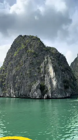 رحلة كروز فيتنام  #فيتنام #اكسبلور #vietnam #هانوي #fyp 