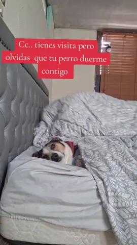 Imposible no recordar....🤭🤭🤭