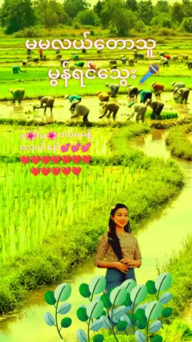 #CapCut #မမလယ်တောသူ #မွန်ရင်သွေး#သီချင်းလေးကြိုက်လို့ပါ💙 #မြန်မာသံစဥ်များကိုချစ်မြတ်နိုးသူ 
