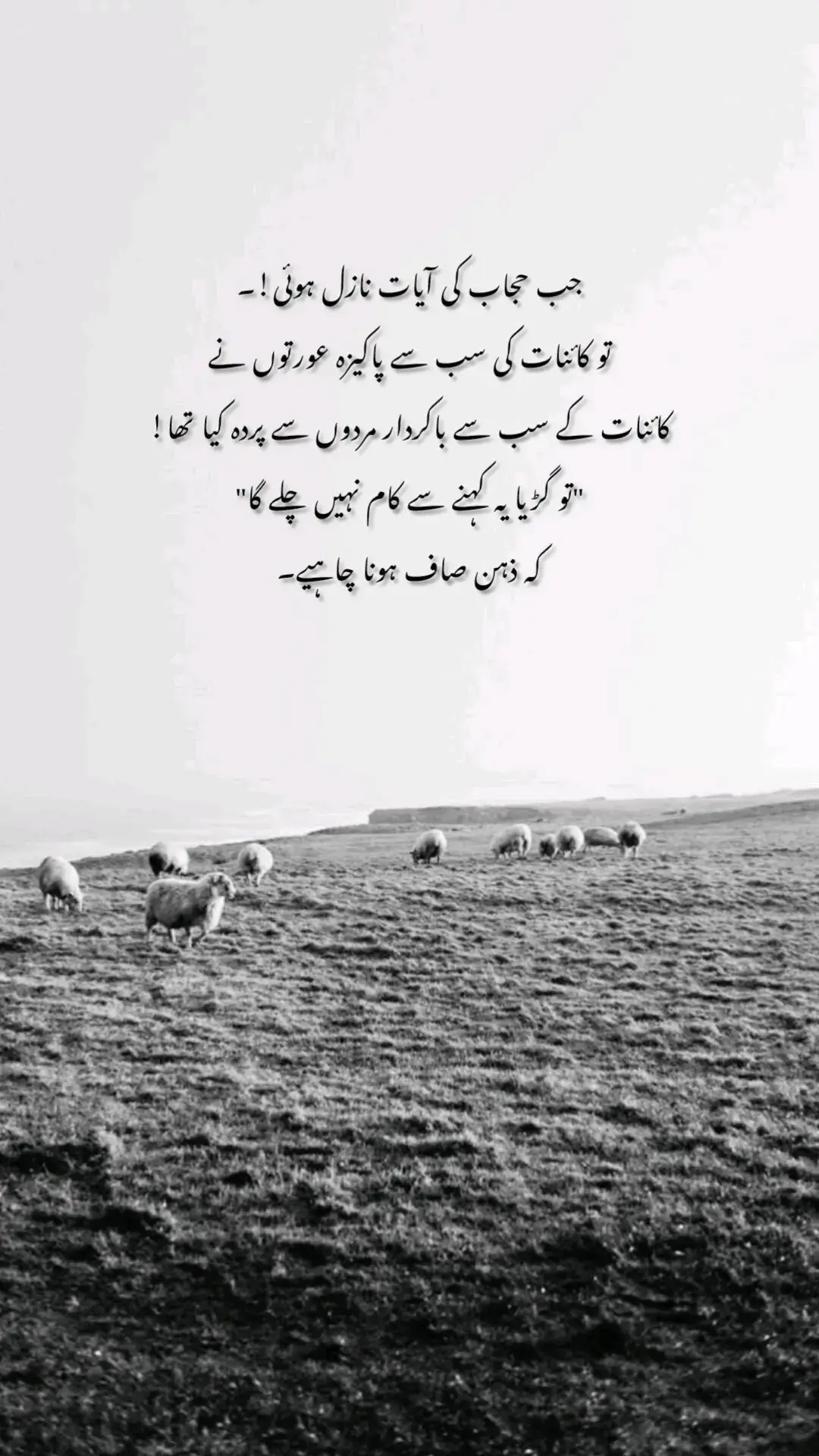 🥀#poetry #whatsappstatus #unfrezzmyaccount #foryoupageofficiall #unfrezzmyaccount #fyppppppppppppppppppppppp #burhantv #tahaaliwrites 