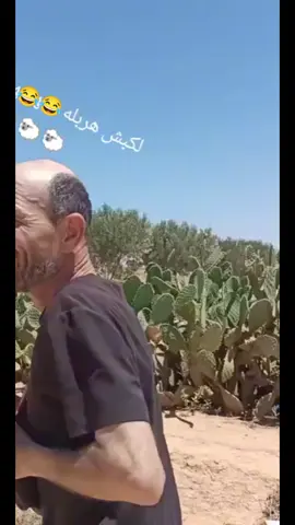 #الشعب_الصيني_ماله_حل😂😂 