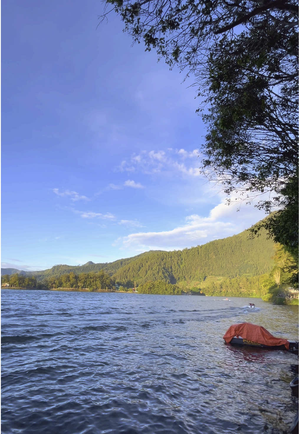 view sarangan di pagi hari #saranganmagetan #telagasarangan #vibes #fyp 