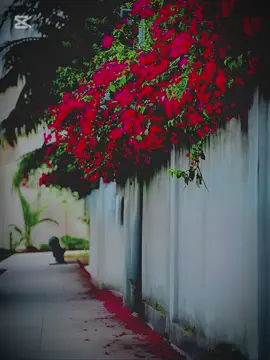 সব দুয়া কবুল 💐💐💐🥰🥰 #islam #new #tiktok 