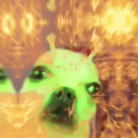 🚽👽 #Gog #Alien #Dog #poop #fart #MemeCut  #Meme #fyp 