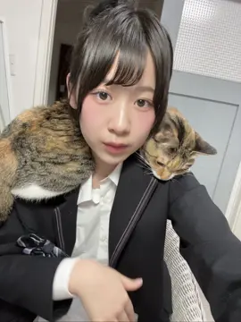 肩乗り猫❕このまま学校行きたい🐱 #09  #fjk  #猫 #肩乗り猫  #お団子ヘア 