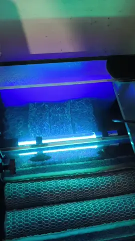 UV light para sa Aquarium #fyp #Fyp #FYP