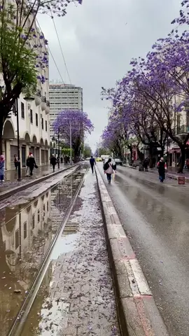 Rainy Tunisian day🪻💜#tunisia🇹🇳 #tunis #fyp #likeforlikes 