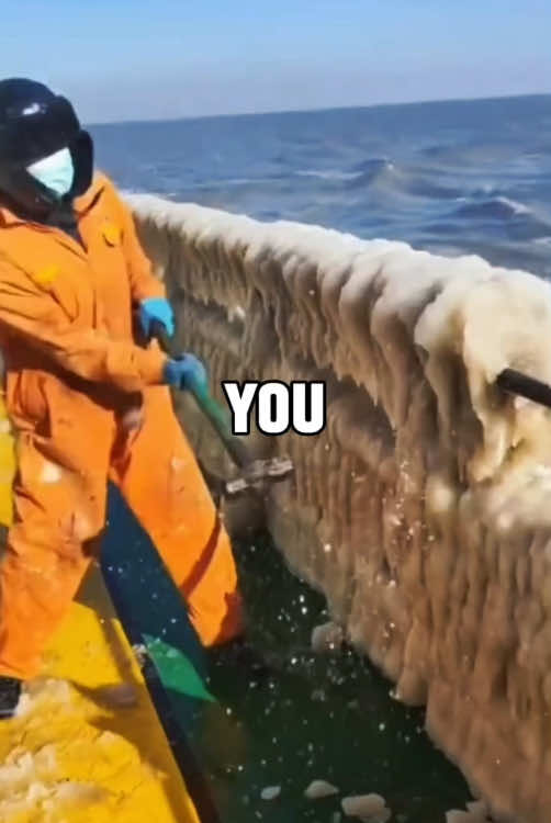 #reddit #redditstories #redditeadings #askreddit #foryou 