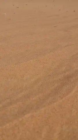 #viralvideo #foryoupage❤️❤️ #follow#like 