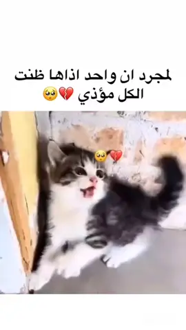 يلي اذاك مرة يإذيك الف مرة 💔😩 وصلت 