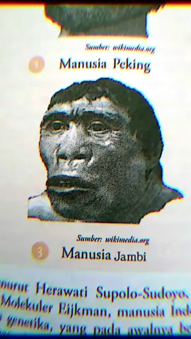 🗿