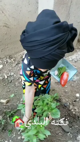 # الشعب #الصنين_مالهم_حل😂😂 