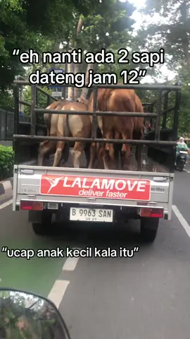 #iduladha #fypage #4u 