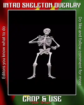 Just a skeleton for edit on your intro..btw follow up for more..🫡✨️