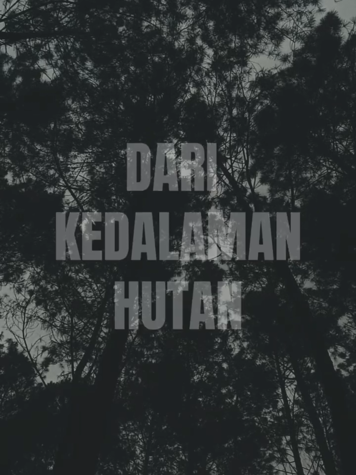 #CapCut petir dalam hutan #sriganosfamilia #petirdalamhutan #hariitutelahdituliskan 