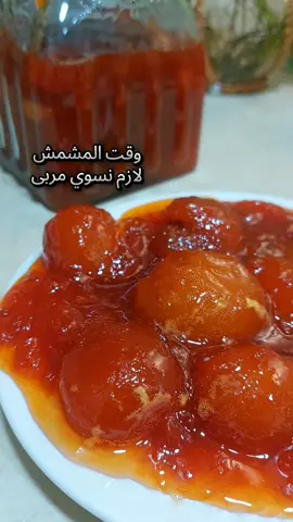 #العراق🇮🇶🇮🇶🇮🇶🇮🇶🇮🇶🇮🇶 #اكسبلورexplore #fypシ゚viral #الخليج_الكويت_السعودية_قطر_البحرين 