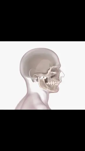 #jawpill #jawislaw #bp #lookism #jaw 