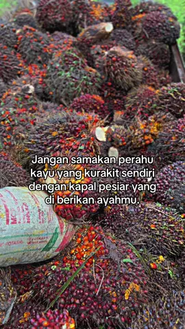 😌 #fyp #cumakuli #pekerjakeras #sawitontiktok #fypppppppppppppp 