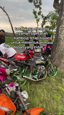 😭#tigerberkahproyek🚀 