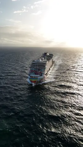 Just me, the sea, and the suite of my dreams 🌊 #CruiseNorwegian #norwegianaqua #nclaqua #ncl #norwegiancruiseline #cruise #cruiseship #ship #cruiselife #cruising #traveling #summertravel #summervacation #vacationplanning #vacationmode #travelinspo #travelgoals #wanderlust #wanderlusttravel