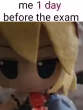 #touhou #touhouproject #touhoumemes 