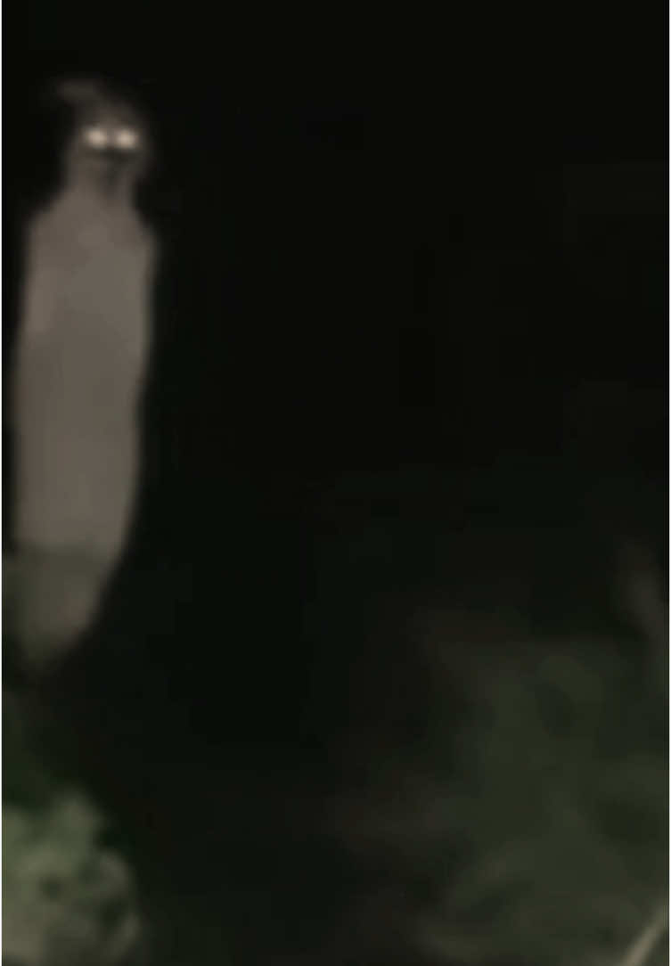 Yang pernah liat pocong absen d komen #hororstory #penampakan #pocong #penampakanhantu #pocong 