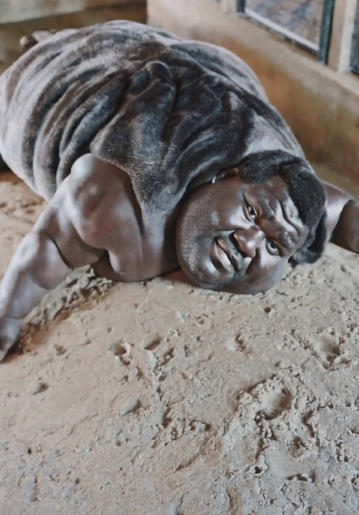 Fun in the sand  #cursed #weird #bodyhorror #disturbing #horrorcore #aiartcommunity 