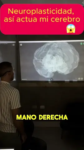 ¿Sabías que cuando te mueves… literalmente estás encendiendo tu cerebro? Mira esto. Esta es mi actividad cerebral en tiempo real, medida por una encefalografía mientras realizo actividad física. Cada estímulo, cada movimiento, activa nuevas conexiones neuronales. Esto es neuroplasticidad: la capacidad que tiene tu cerebro de cambiar, adaptarse y crecer. Pero aquí va lo fuerte… Cuando no te mueves, cuando vives en piloto automático, usas solo un 15% de tu capacidad cerebral. El resto se apaga, se atrofia. Por eso no es solo cuestión de salud física. Es salud mental. Es enfoque. Es creatividad. Es volver a ser dueño o dueña de tu mente. Activa tu cuerpo. Despierta tu cerebro.”