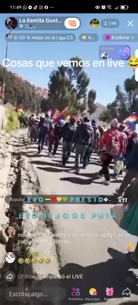 #live #sigueme_para_mas_videos_asi #estamosmal #elecciones #2025 #elaltobolivia🇧🇴🥰 #evomorales #marcha #firulais 