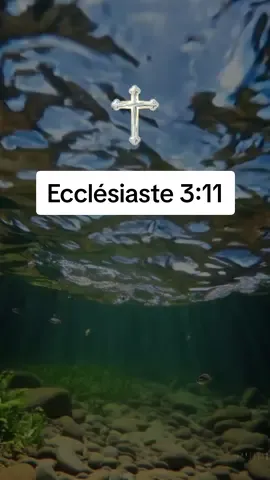 Dieu fait tout chose belle en son temps 🙏🏻#amen #versetdujour #versetbiblique #tiktokchretien 