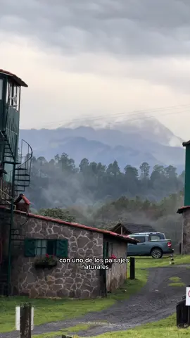 Una aventura por el bosque de pinos 🌲 para reconectar con el alma, se acerca la temporada de luciérnagas 😁😁😁 hay que estar preparados.
