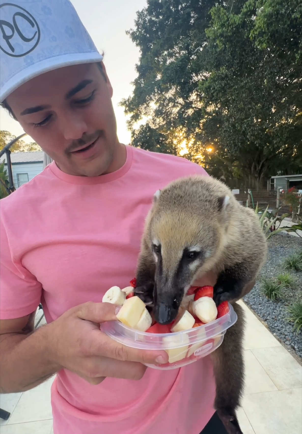It’s time to feed the coatimundi!