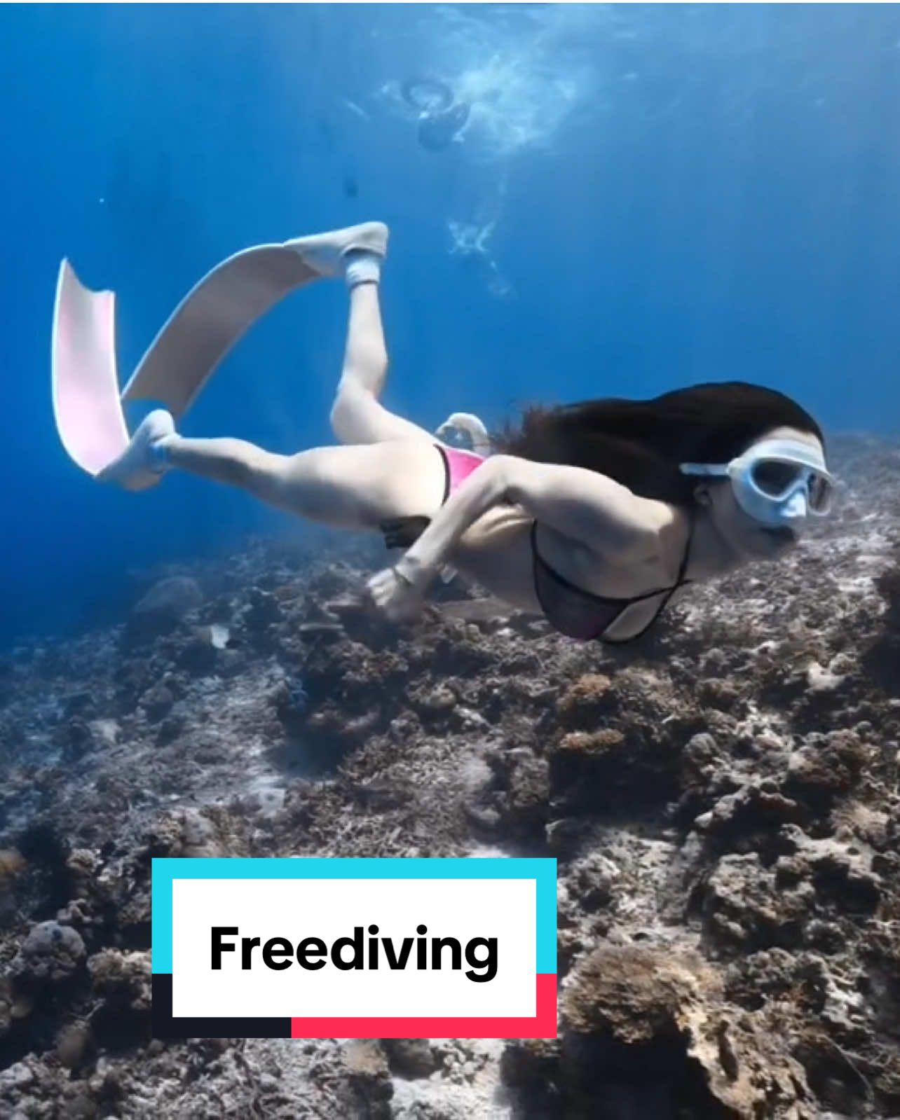 Ngọt ngào mấy cũng đến thế là cùng #freediving #xuhuong #viral #vietnam #trending #underwater 