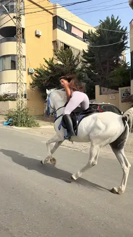 #lynn_zein 