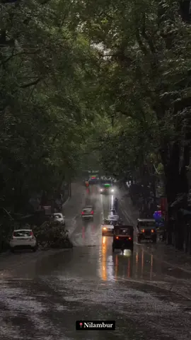 കനോലി പ്ലോട്ട് 🥳🌿❤️