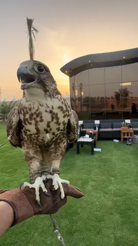 #السعودية #الرياض #العيينه 