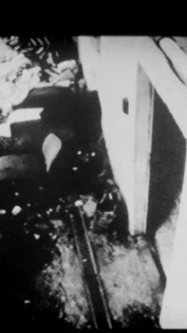 Trap Track 11 Vréel 4 dispo partout 