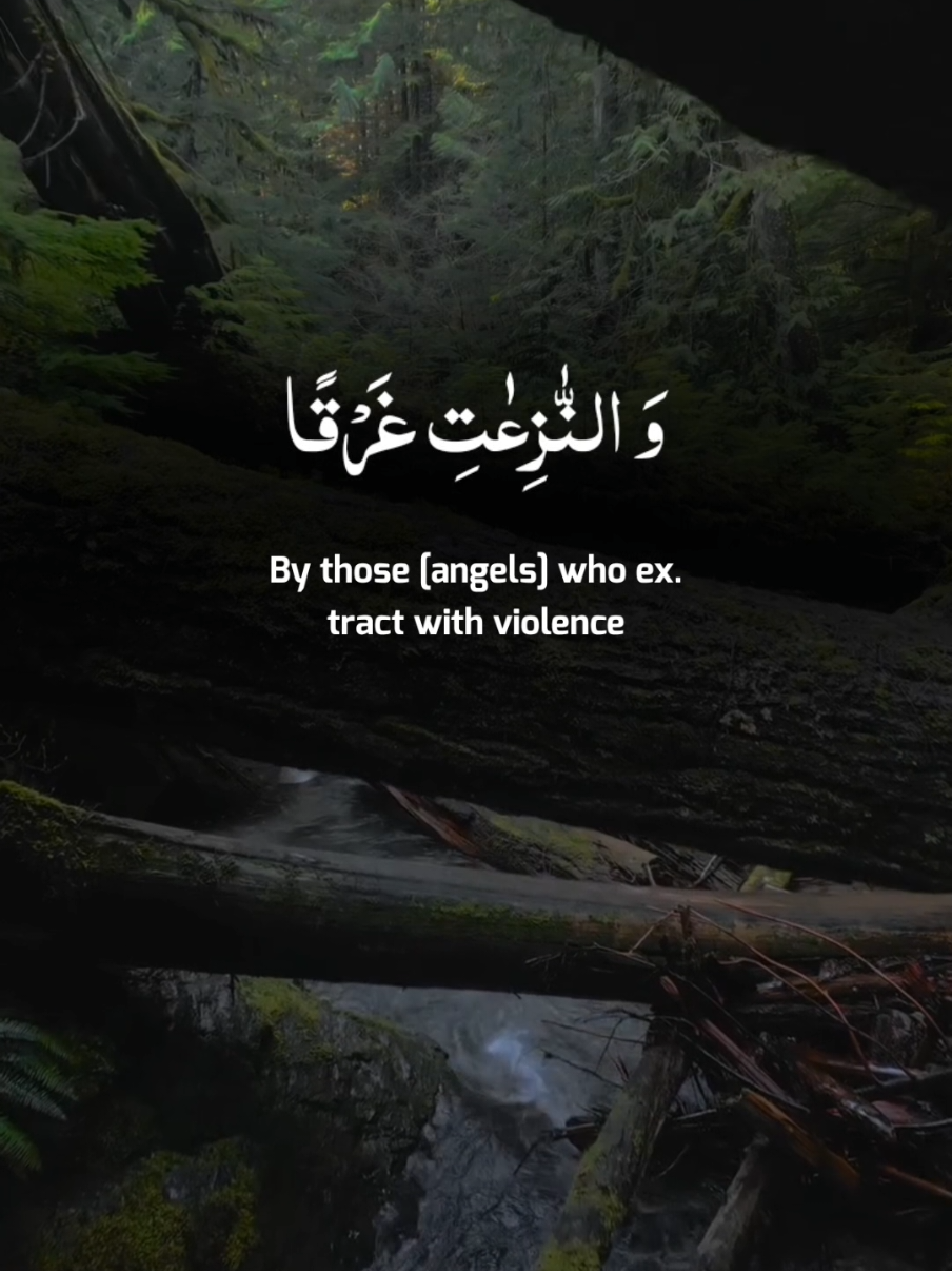 Surah Al Naziaat Recitar By Abdullah Ahmad Shaaban 🍁 #quran #tilawat #تلاوات #قران #unfrezzmyaccount @Holy Quran 🎧 
