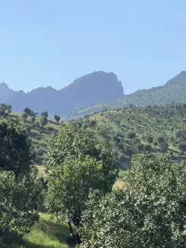 Disâ hatın🕊️☀️#keşfet #çiyaye #cudi #cudi #dağı #keşfet 