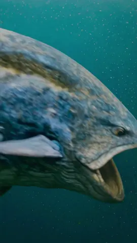 Discover the Largest Bony Fish Ever! #PrehistoricSea  #GiantFish #MarineHistory #leedsichthys #EducationalVideo #trending #fyp #WhatIf #CGI #viral
