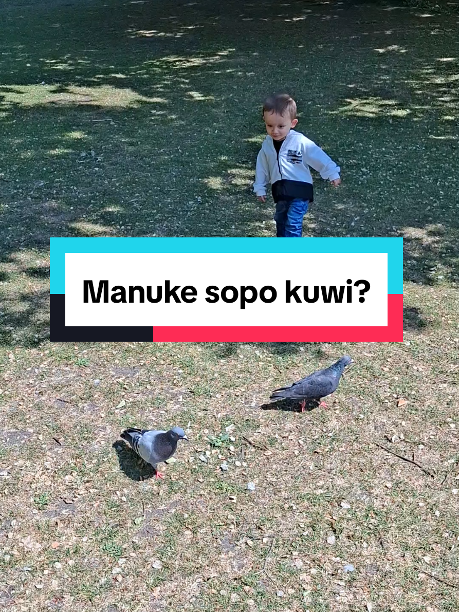 Manuke sopo kuwi? @Ezhar Trepca. MasyaaAllah Tabarakallah Allhumma Baarik #bayibule 